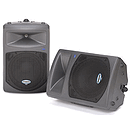 Samson DB300A 12" Active 2-Way Loudspeaker