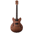 Washburn HB32 Hollow-body Electric Guitar with Case - Distressed Mahogany