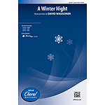 A Winter Night