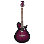 Daisy Rock Wildwood Artist Deluxe Acoustic-Electric Guitar - Royal Purple Burst