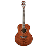 Daisy Rock Butterfly Jumbo Acoustic-Electric Guitar - Bubinga Butterfly