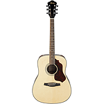 Ibanez SGT120 NT Steel-string Acoustic Guitar - Natural