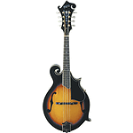 Washburn M3SW Florentine-style Solid-top Mandolin - Sunburst - with case