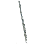 Roy Benson Flute Outfit