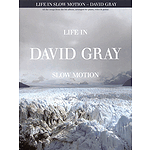 David Gray - Life in Slow Motion