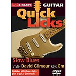 Slow Blues - Quick Licks (DVD)