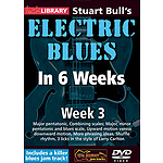 Stuart Bull's Electric Blues in 6 Weeks (DVD)