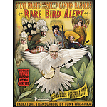 Steve Martin - Rare Bird Alert