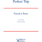 Perfect Trip