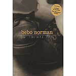 Bebo Norman - Ten Thousand Days