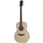 Hohner Parlor Size Acoustic Guitar