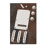 Fender® Stratocaster® Accessory Kit