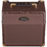 Luna AA15 Ambience 15-Watt Acoustic Guitar Amplifier/Amp with Chorus Effect
