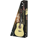 Dean AK48 Acoustic Guitar Starter Pack