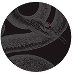 Kaces Grafix Cymbal Bag - Serpent Design