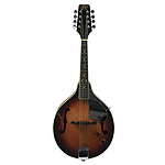JB Player Electric Mandolin