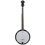 J. Reynolds JR400 5-String Banjo