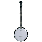 J. Reynolds JR900 5-String Banjo