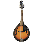 J. Reynolds JRMAN10 Mandolin - Tobacco Sunburst