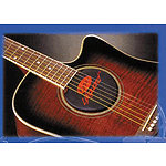 Kyser Lifeguard Guitar Humidifier - Classical Guitar