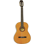 Lauren Beginner Classical Acoustic Guitar