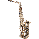 Lauren Beginner Alto Saxophone Outfit