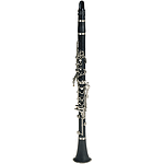 Lauren Beginner Clarinet Outfit