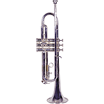 Lauren Beginner Trumpet Outfit - Silver-plated