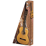 Dean Espana Classical Guitar Package