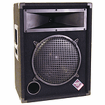 Nady Pro Power PS112 12-inch Speaker Cabinet