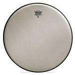Renaissance Ambassador Drum Head - 16