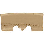 Dilruba Bone Bridge
