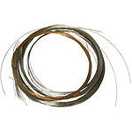 Dilruba Strings