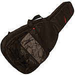 Lute-Guitar Bag