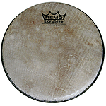 Remo SKYNDEEP Head, 3/4" Deep X 8"