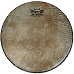 Remo SKYNDEEP Head, 3/4" Deep X 11"