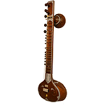 Sitar, Standard, Light Padded Nylon Case