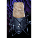 CAD E300 Multi-pattern Condenser Microphone
