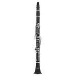 RS Berkeley University Series Beginner Clarinet Outfit