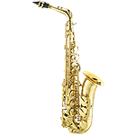 RS Berkeley University Series Beginner Alto Saxophone Outfit