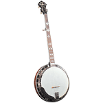 Gold Star GF-200 Banjo - Hearts & Flowers Inlays