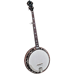 Gold Star GF-85 Banjo - Style 3 Inlays