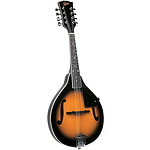 Rover RM-25S Solid Top A-model Mandolin - Sunburst
