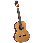 Valencia VG-35R Classical Guitar - Bubinga