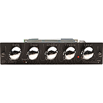 Randall MSCA MTS Series Tube Module - George Lynch Signature Heavy Module - Mr. Scary