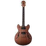 Washburn HB32 Hollow-body Electric Guitar with Case - Distressed Mahogany