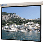 Buhl Electric Wall Screen, 70"x 70" with in-line toggle control switch