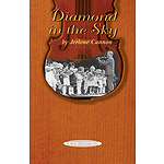 Diamond In The Sky (A Suzuki Biography)