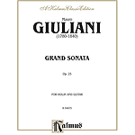 Grand Sonata Op. 25