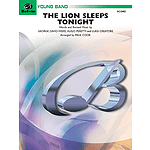 Lion Sleeps Tonight CS